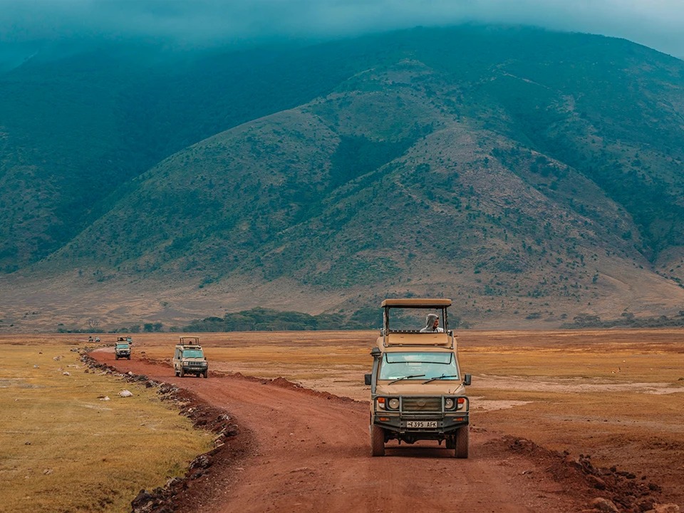 Safari Game Drive