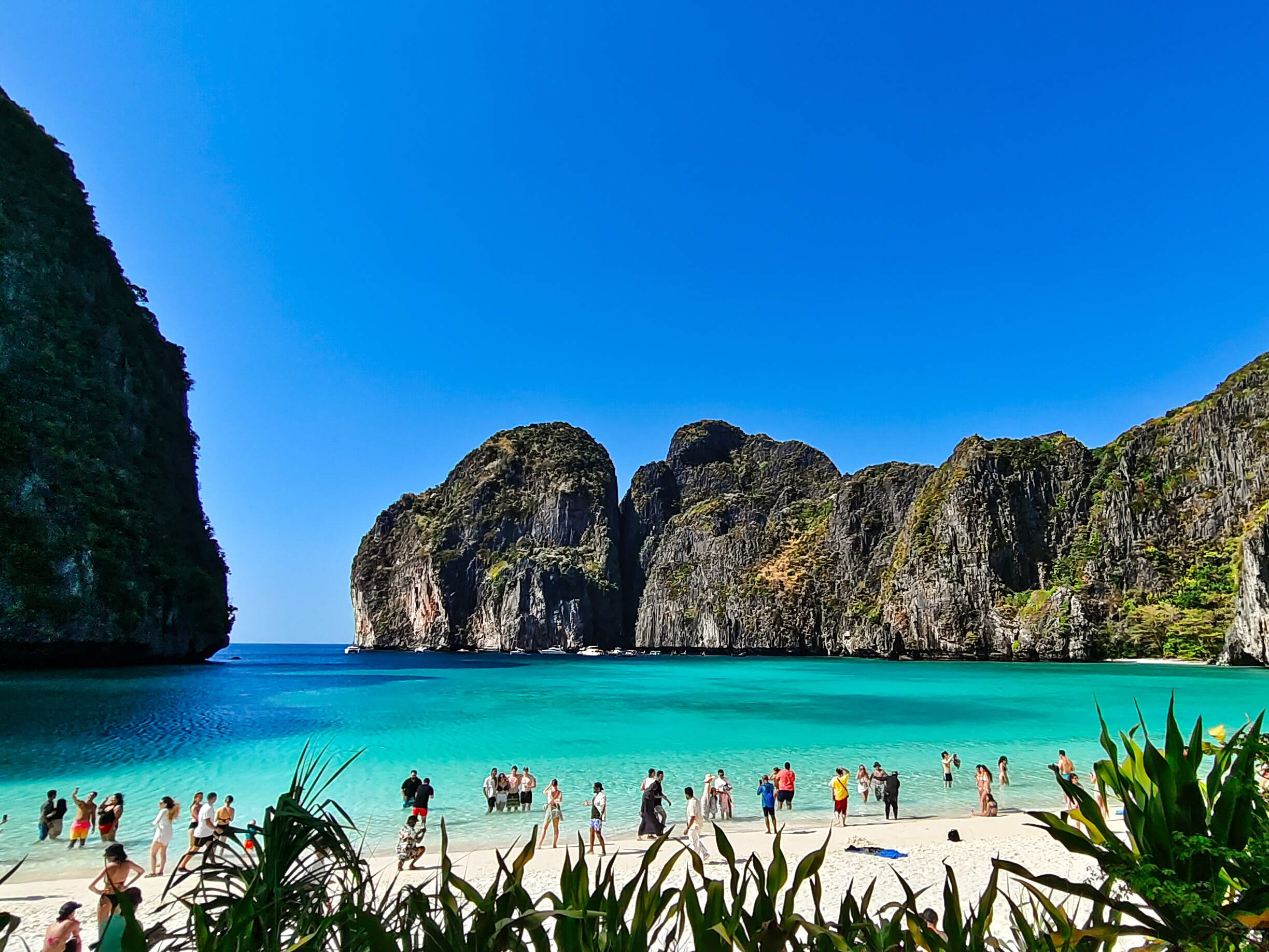 Phi Phi Island Adventure