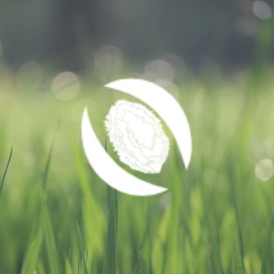 kankodu's profile