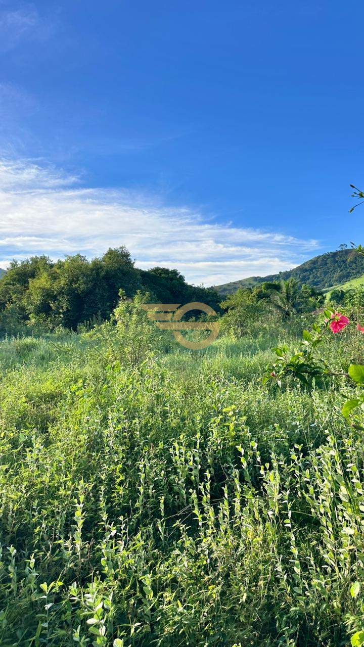 Foto de Sítio/chácara à Venda no Santana do Paraiso