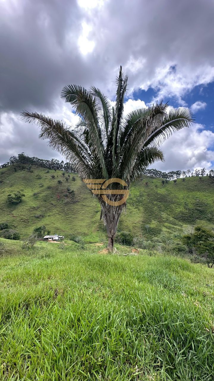 Foto de Terreno à Venda no Achado de Baixo – 4 Quartos e Piscina