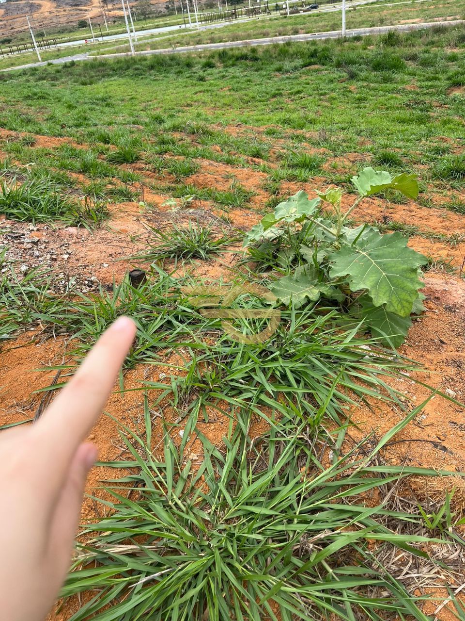 Foto de Terreno à Venda no Reserva do Lado