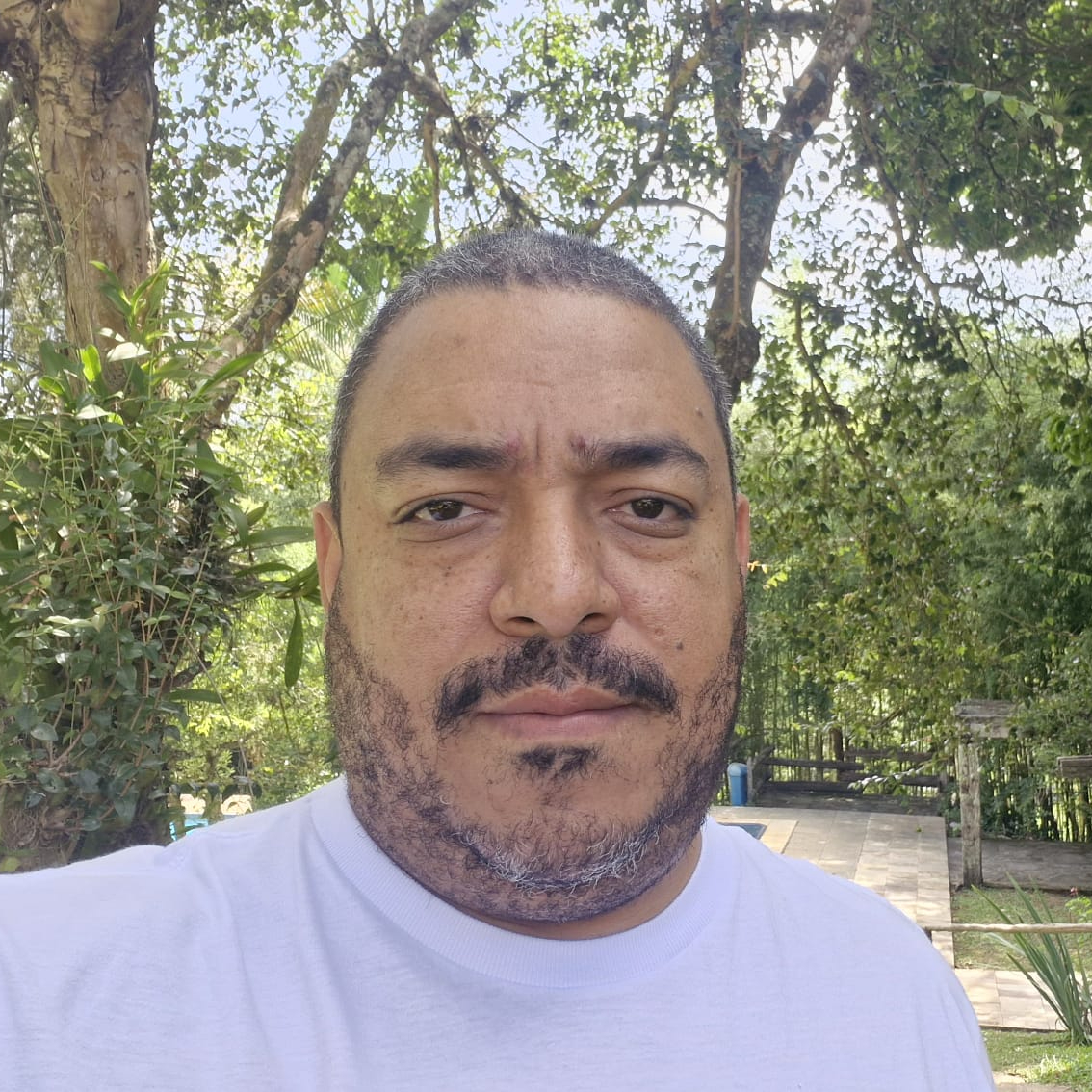 Georgio Araujo