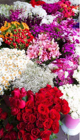 Fresh Blooms