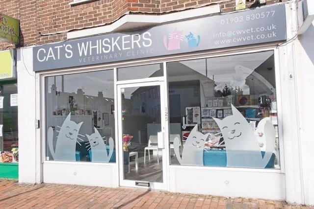 Cat's Whiskers