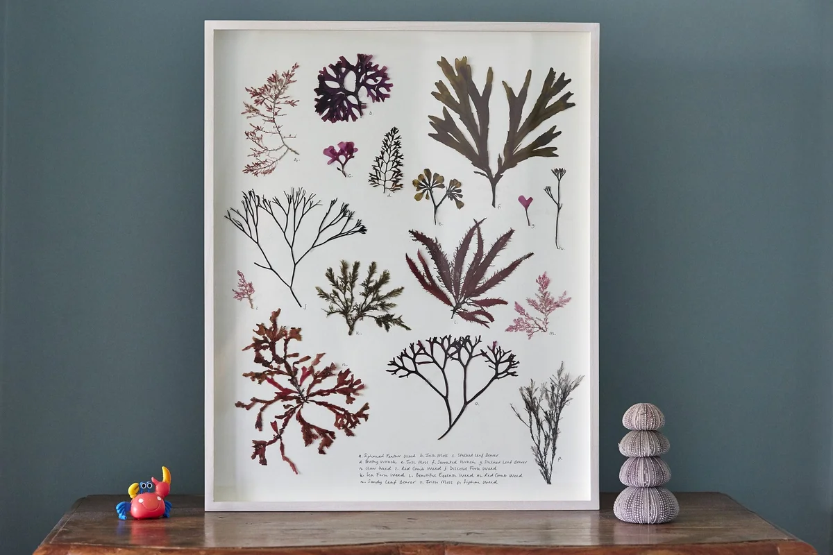ed watts framing gallery 2