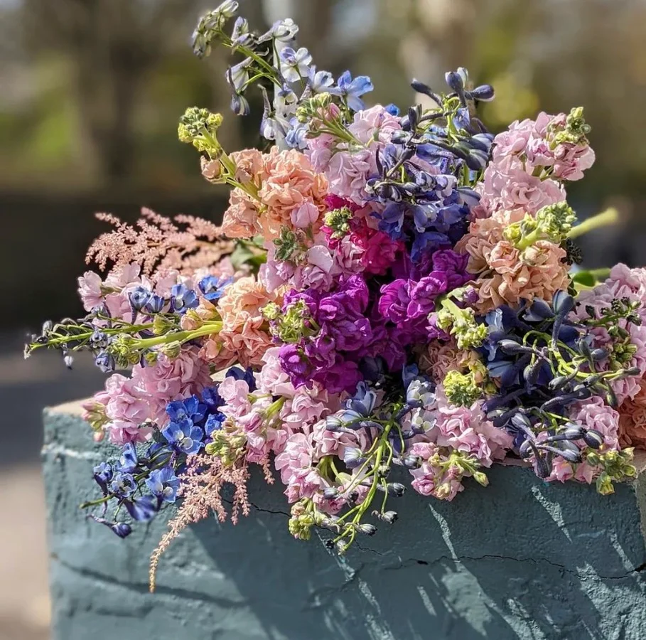 Walter Smith Flowers gallery 1