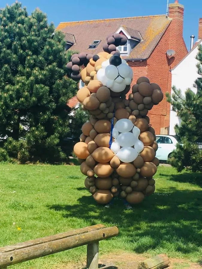 JJ Balloon Art — work 5