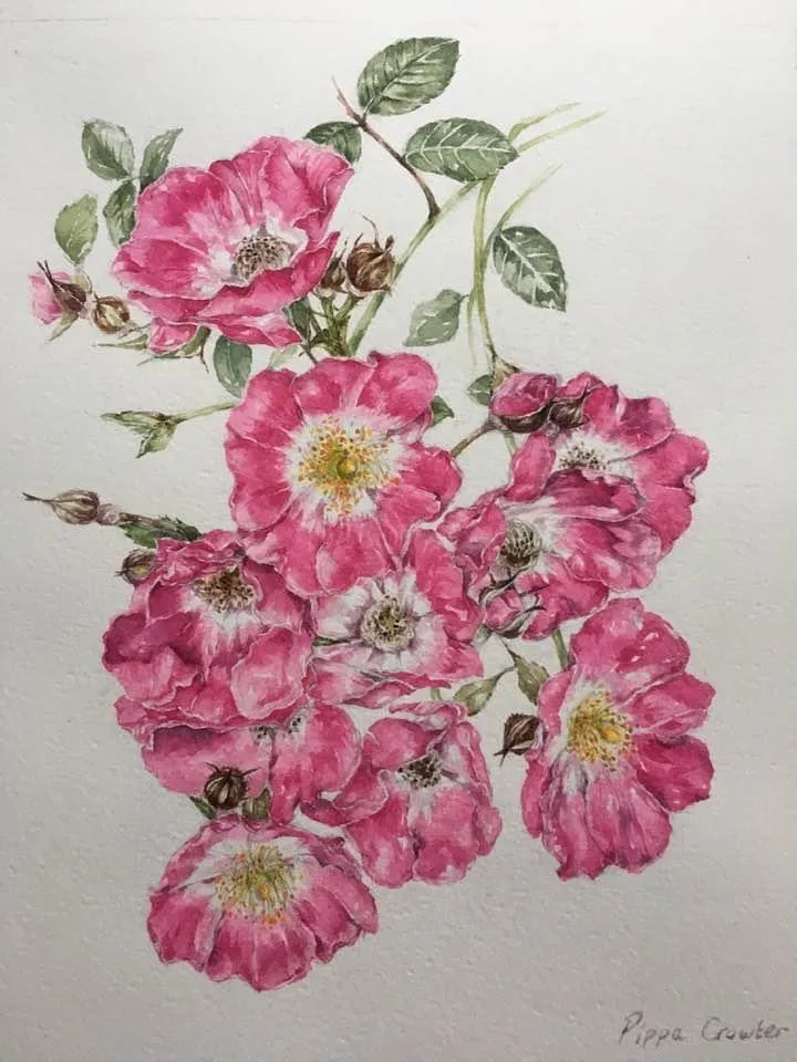 Pippa Crowter