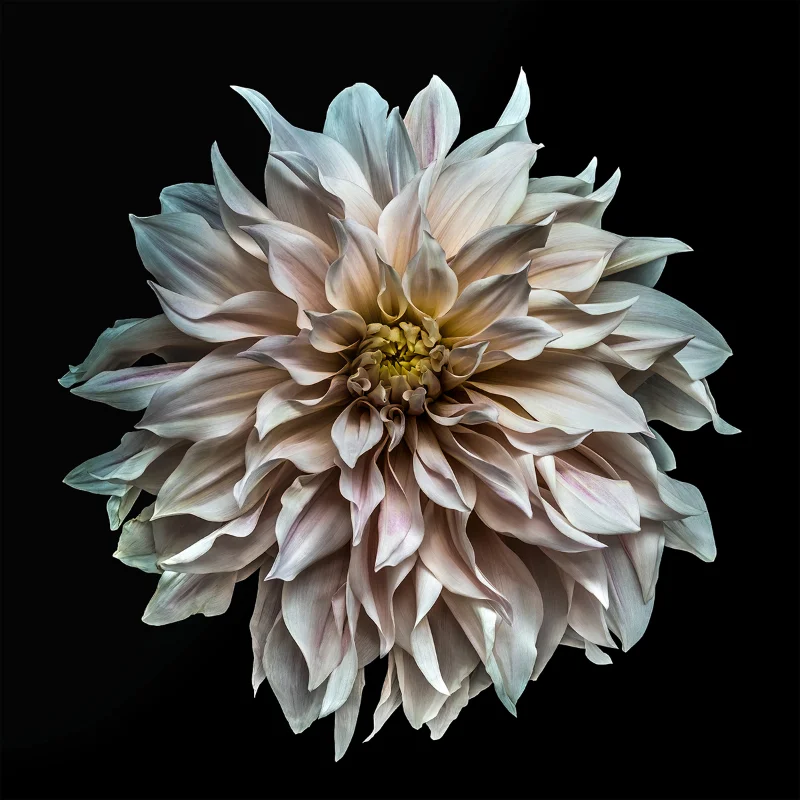 Steve Gallagher — work 11
