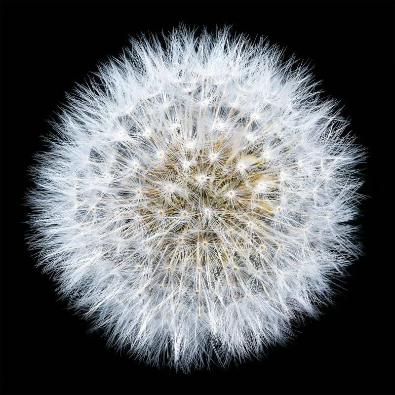 Steve Gallagher — work 3