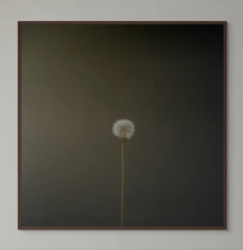 Steve Gallagher — work 2