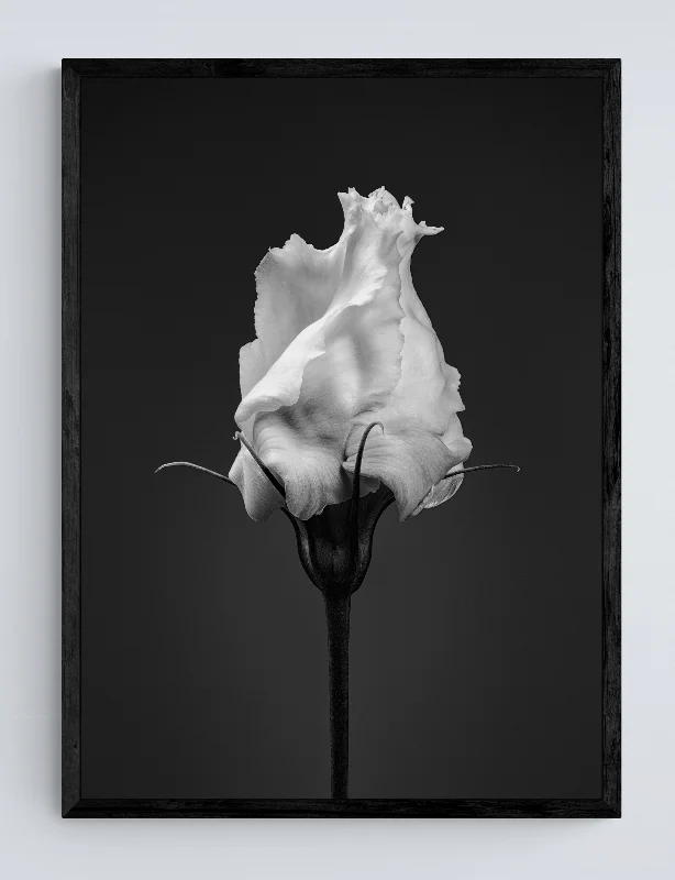 Steve Gallagher — work 8