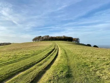 Autumn Lectures: The Story Of Chanctonbury Ring