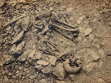 Autumn Lectures: The Story Of Cissbury Ring