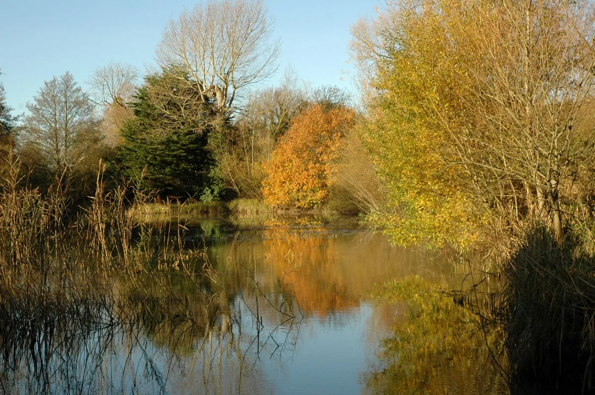 Corporate Wild Work Day at Woods Mill, Henfield