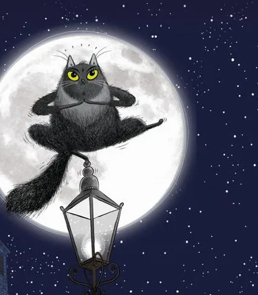 Toto The Ninja Cat Musical | Family Show
