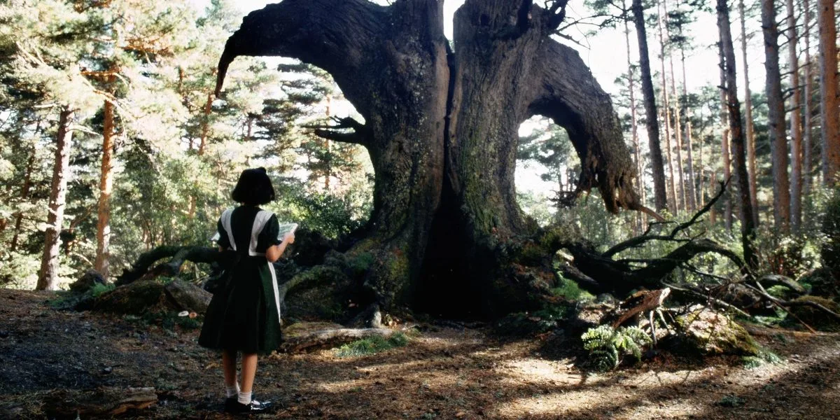 Pan's Labyrinth