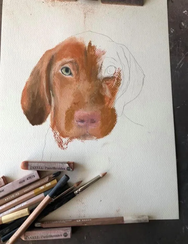 Pastel Pet Pawtraits