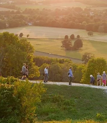 Cissbury Ring Archaeology Walk | James Sainsbury