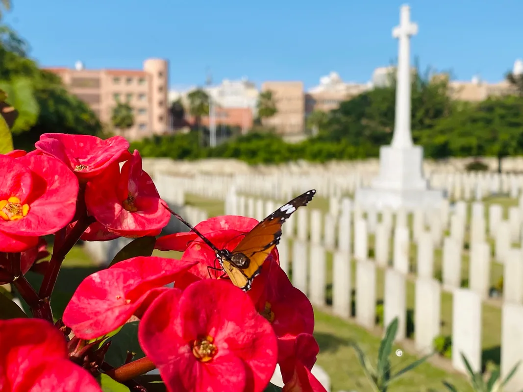 TALK- An Introduction to the History & Work of the Commonwealth War Graves Commission