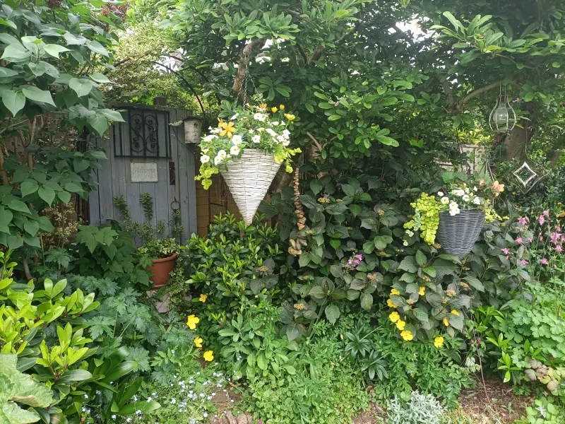 The National Garden Scheme: Judy’s Cottage Garden, Worthing: Open in aid of NGS charities
