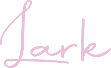 Lark logo