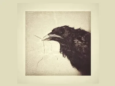 Walking With The Crow