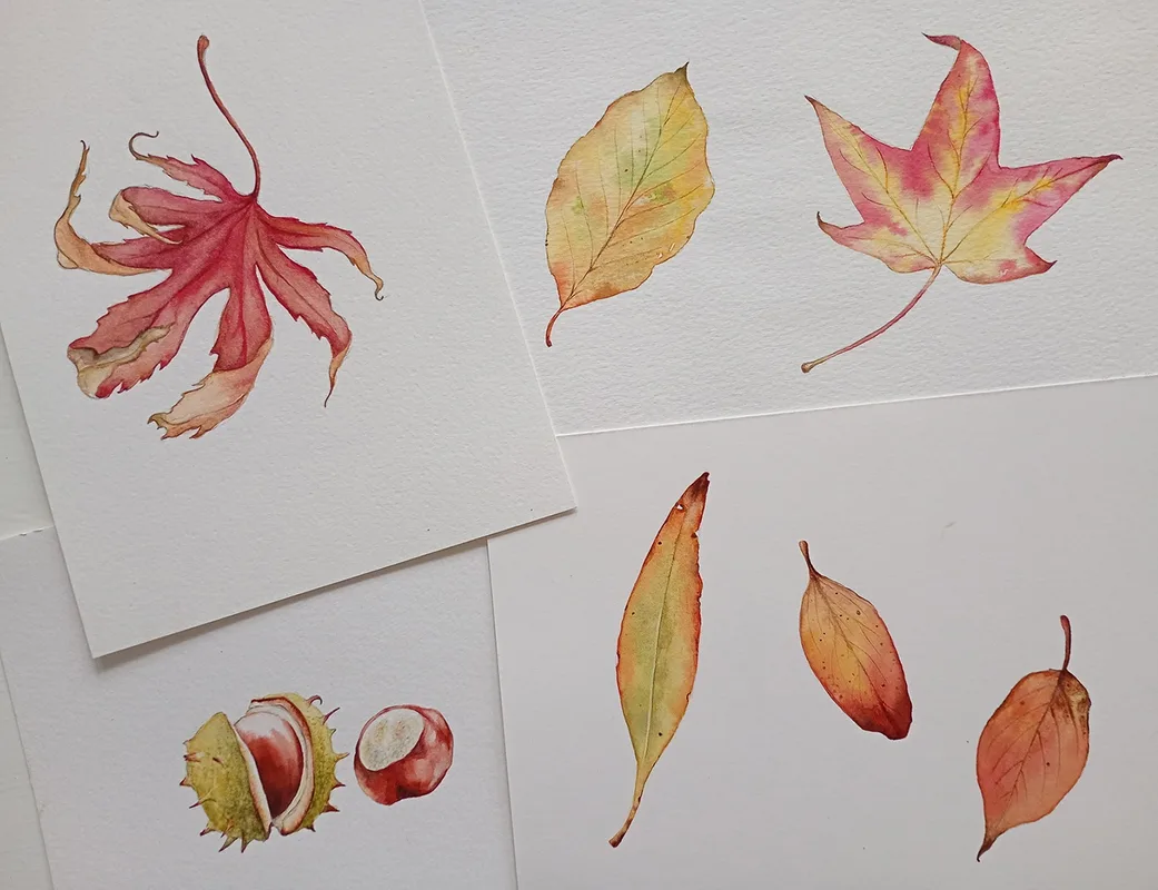 Watercolour Autumn Treasures