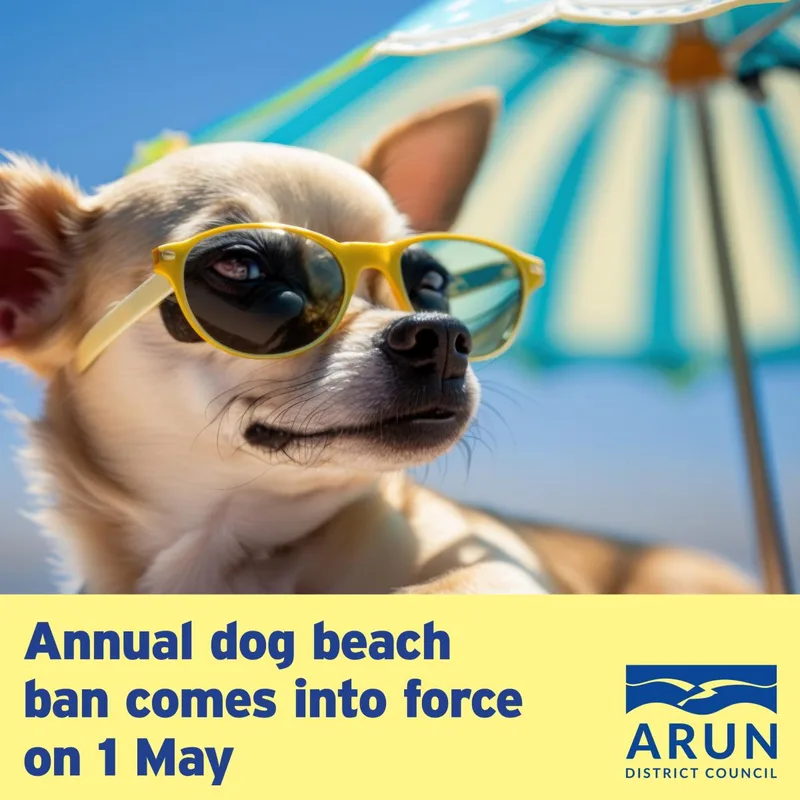Annual dog beach ban comes into force on 1 May 2026