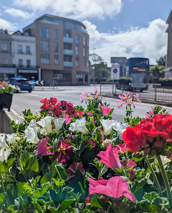 Flowers in North Street, Worthing