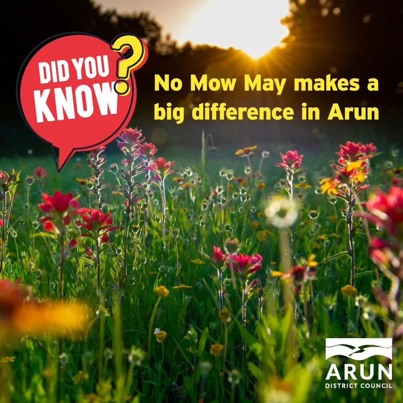 Did you know? No Mow May makes a big difference in Arun