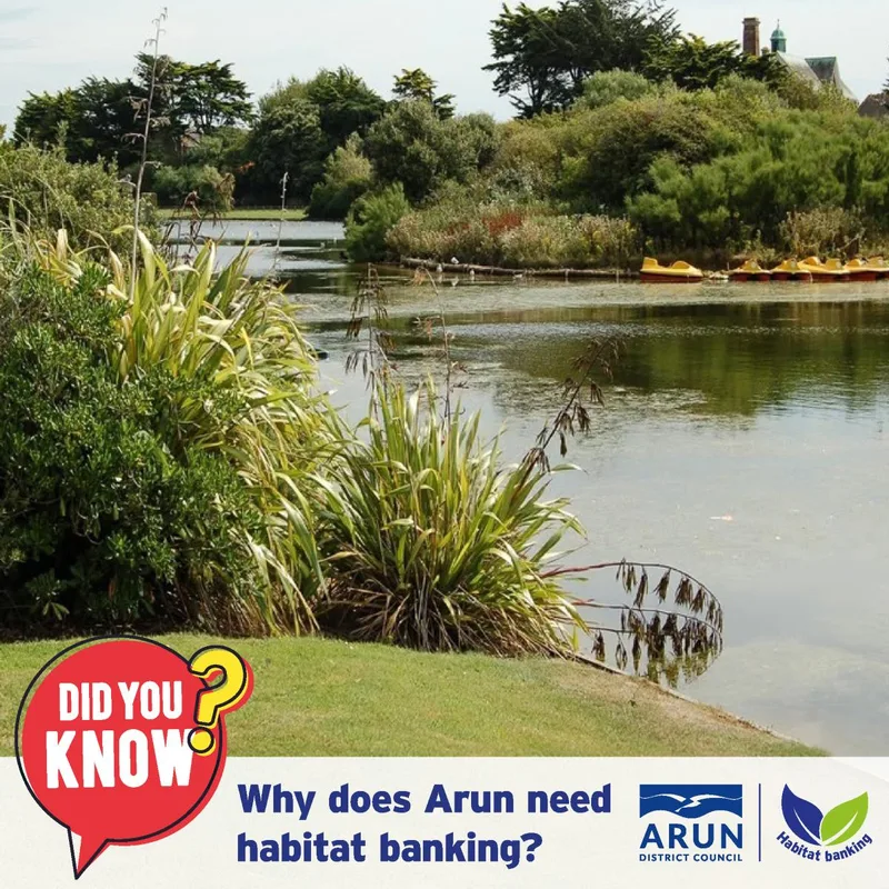 Did you know? Why does Arun need habitat banking?