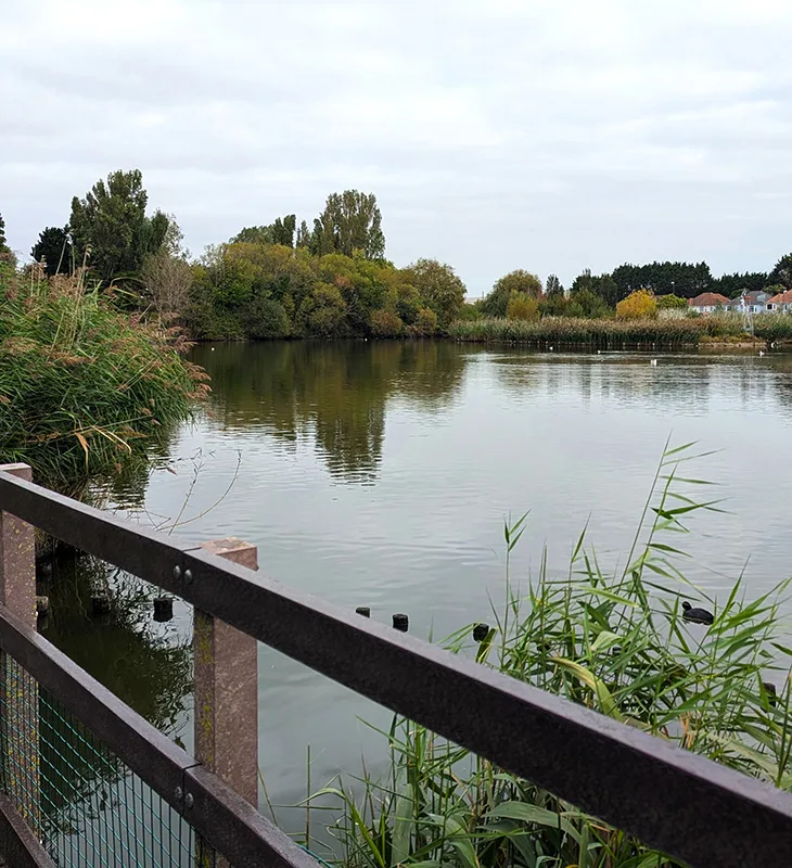 Brooklands Park lake