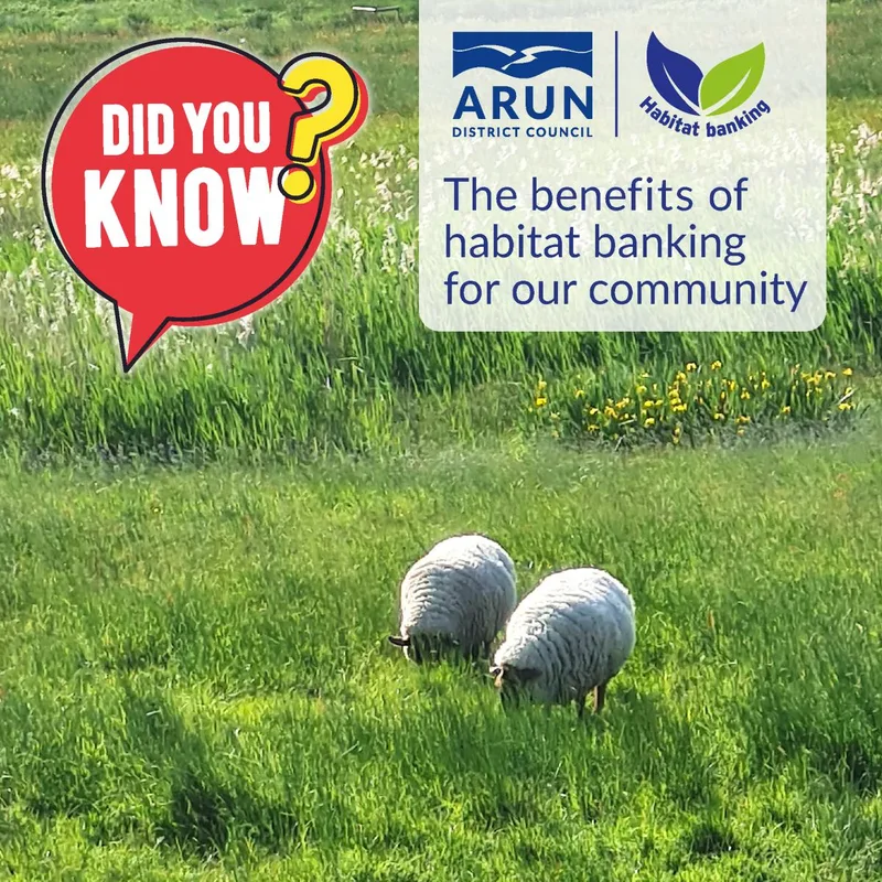 Habitat banking - what are the benefits for Arun residents?