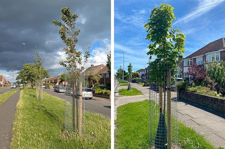 New tree-sponsorship scheme launches in Adur and Worthing