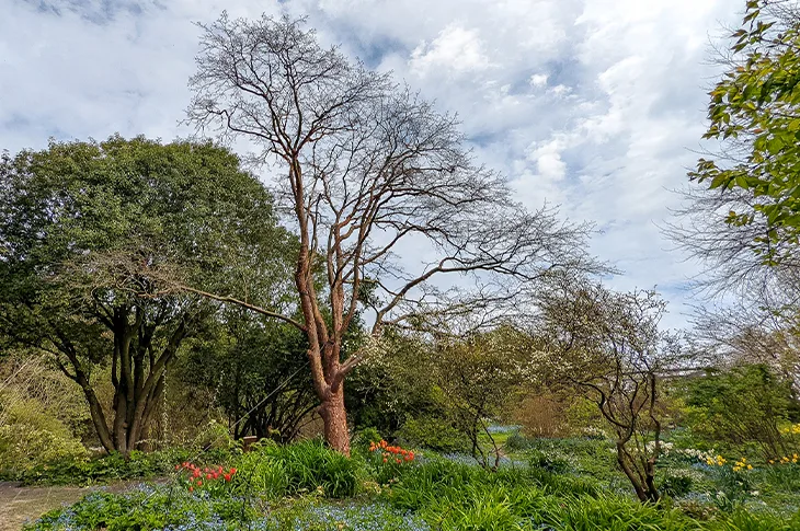 Highdown Gardens