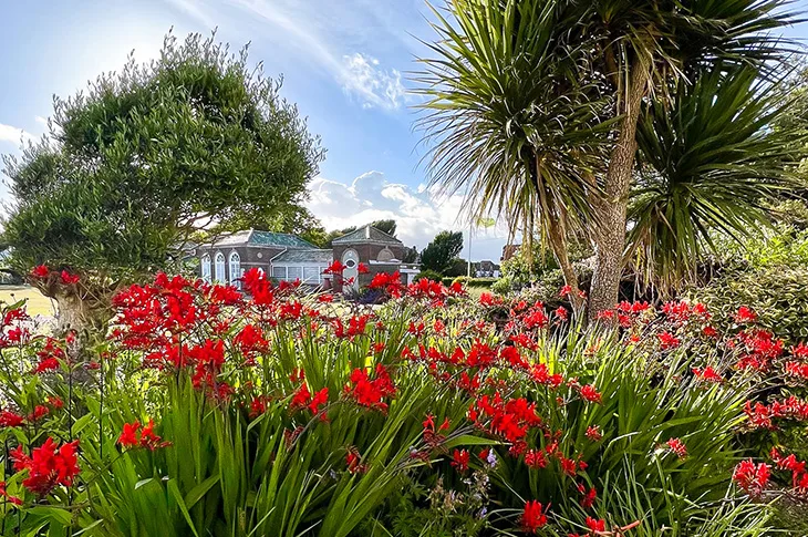 A new conservation area has been proposed for Marine Gardens and its surroundings