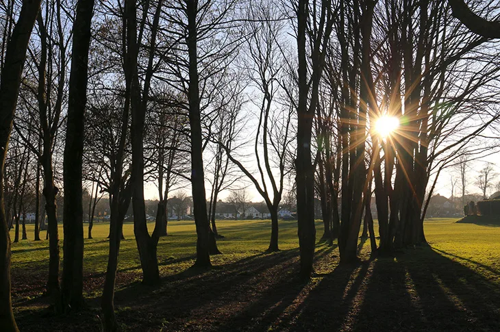 Lancing Manor Park - sun shining through the trees