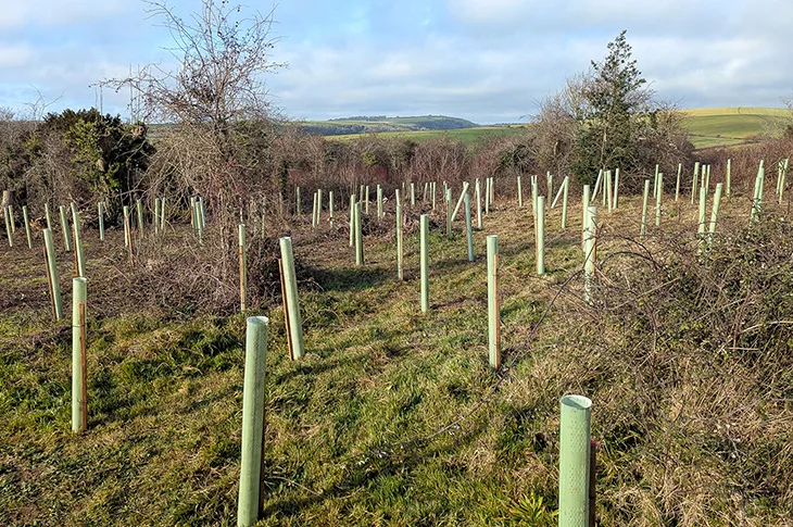 Preserving Lancing Ring for future generations