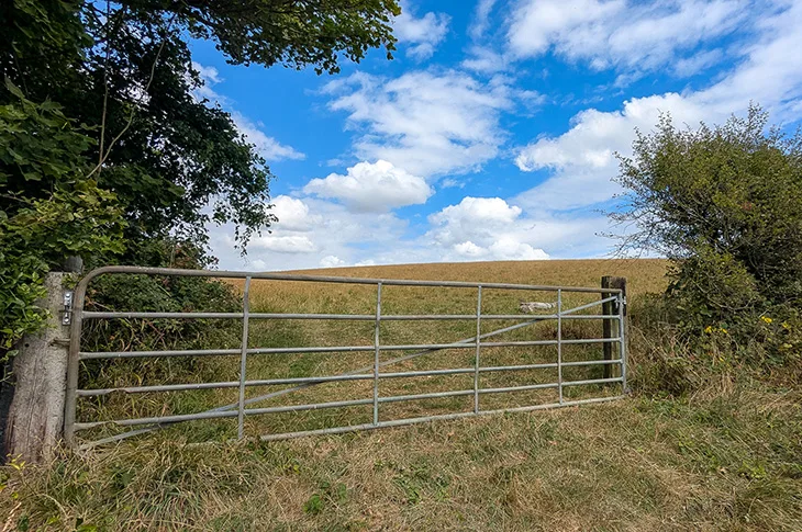 Tenants Hill, Worthing - field gate