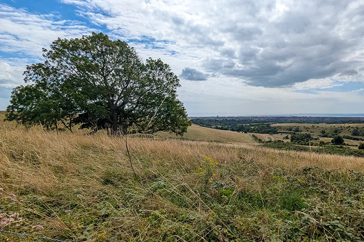Steps forward to establish long-term custodianship and recovery of the Cissbury landscape in Worthing