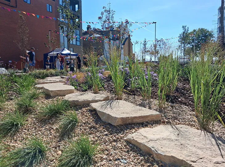 Montague Gardens - One of the planted areas - 1 (05-09-2026)