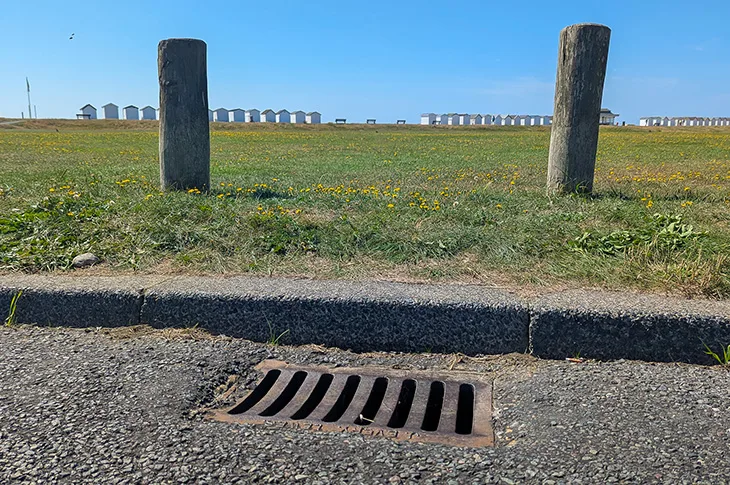 Yellow fish campaign launches in Adur and Worthing