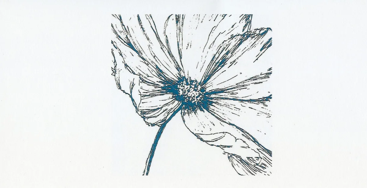 'Cosmos' by Incey Wincey Studio