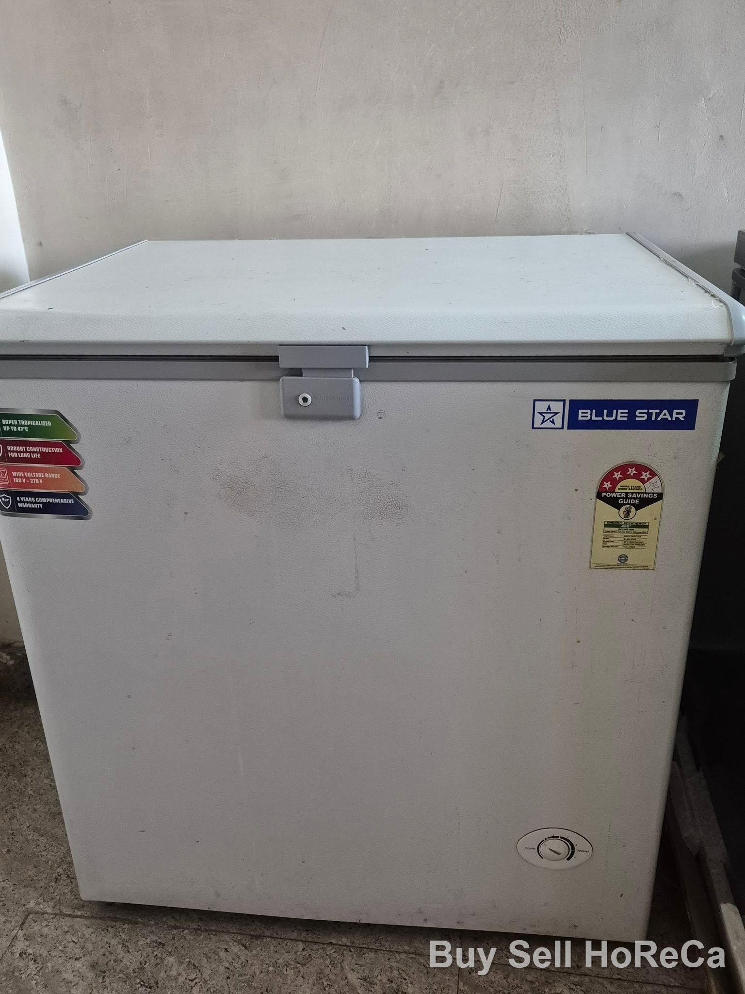Blue Star Single Door Deep Freezer  (from COMPLETE CLOUD KITCHEN SETUP FOR SALE) - Photo 1