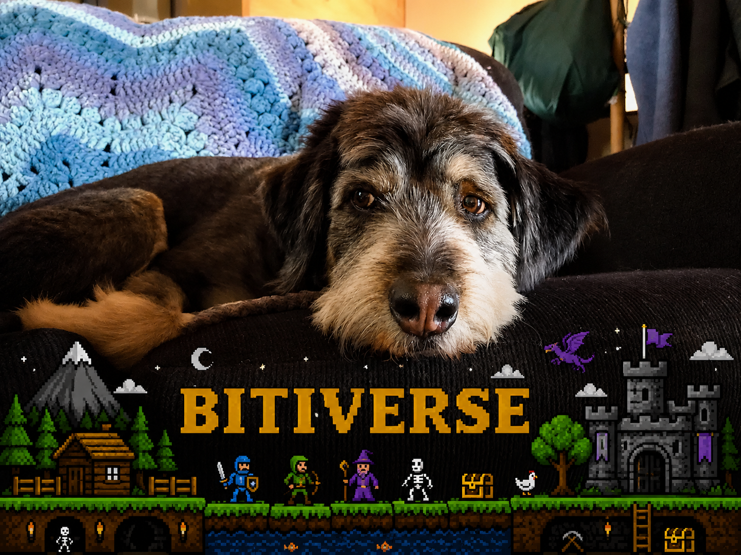 Bitiverse thumbnail