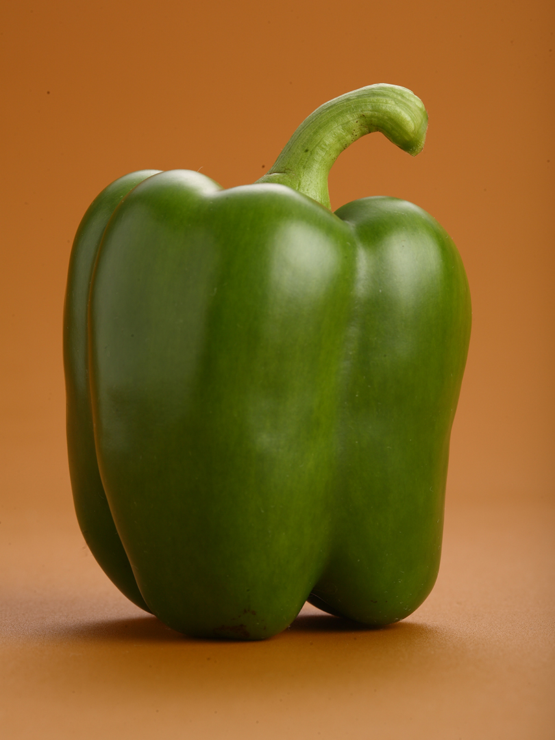 CAPSICUM INDAM BHARATH