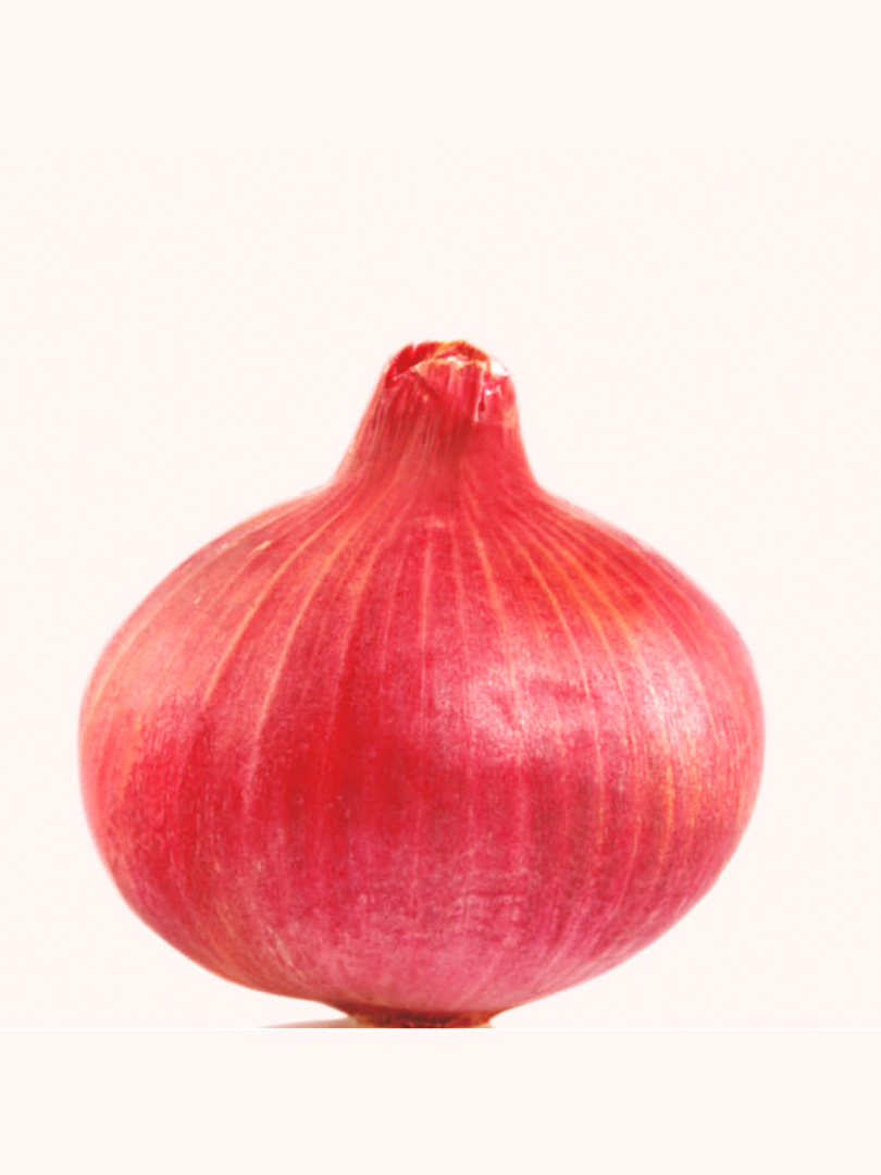 INDAM GULAB