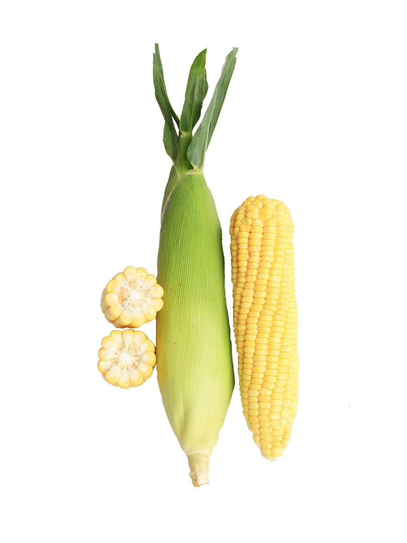 SWEET CORN INDAM SURUCHI